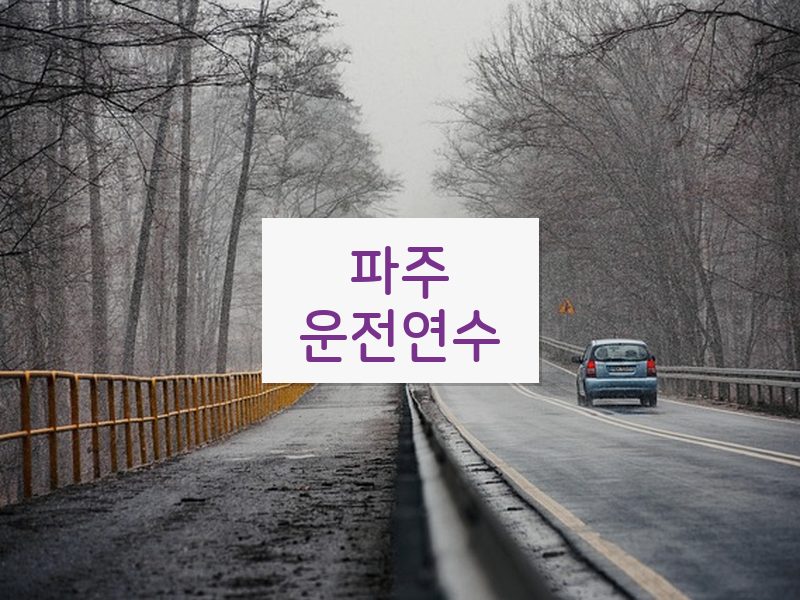 파주운전연수 후기