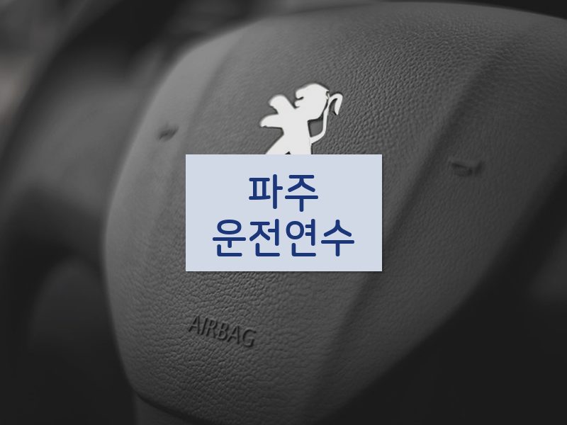파주운전연수 후기