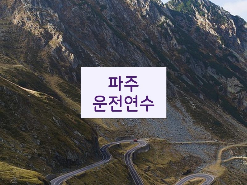 파주운전연수 후기