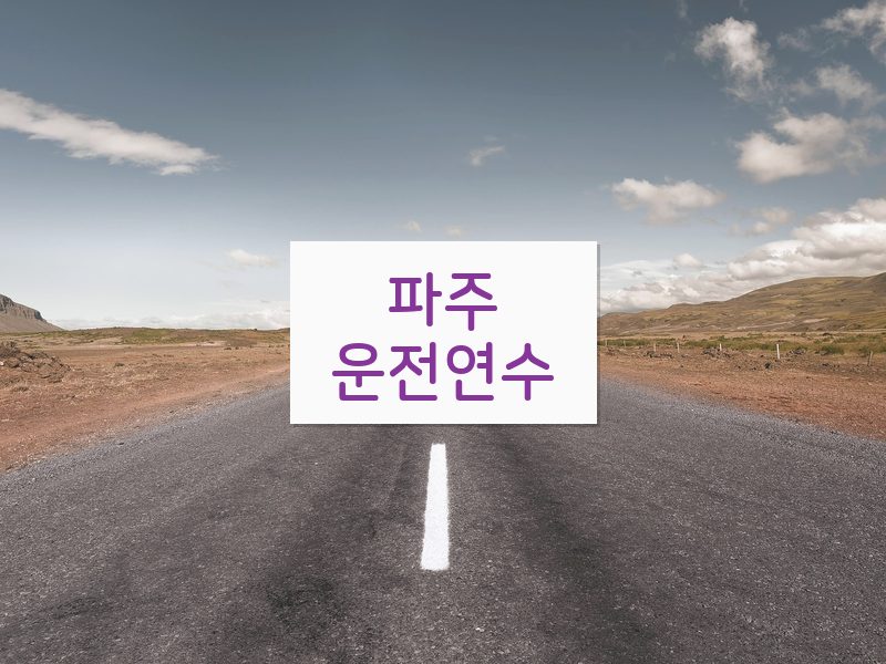 파주운전연수 후기