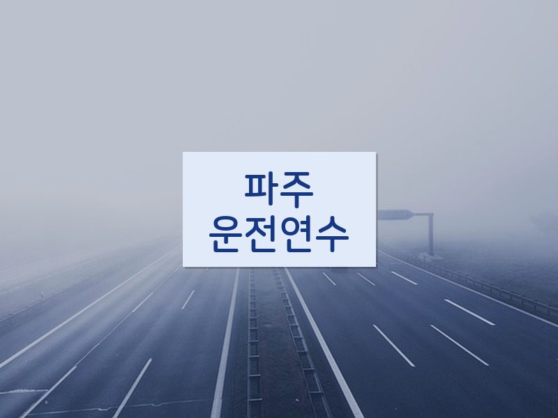 파주운전연수 후기