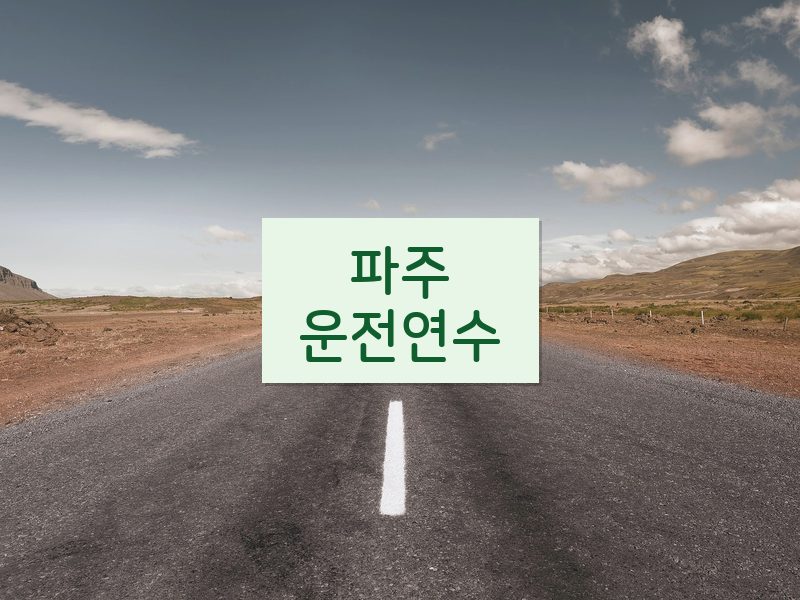 파주운전연수 후기