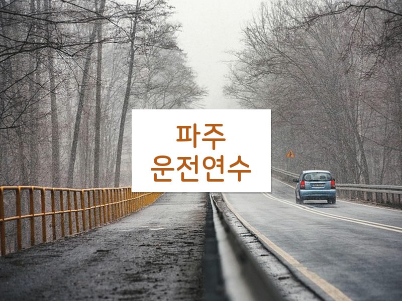 파주운전연수 후기