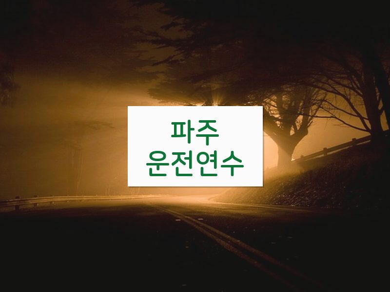 파주운전연수 후기