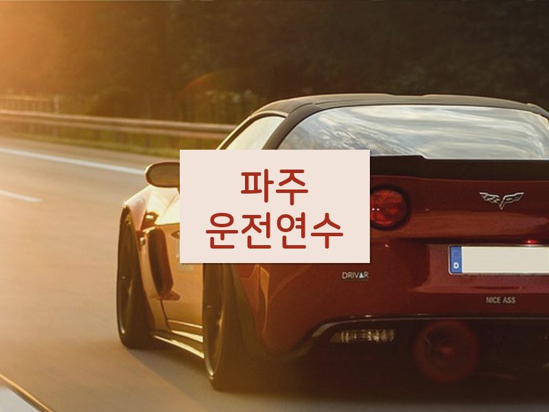 파주운전연수 후기