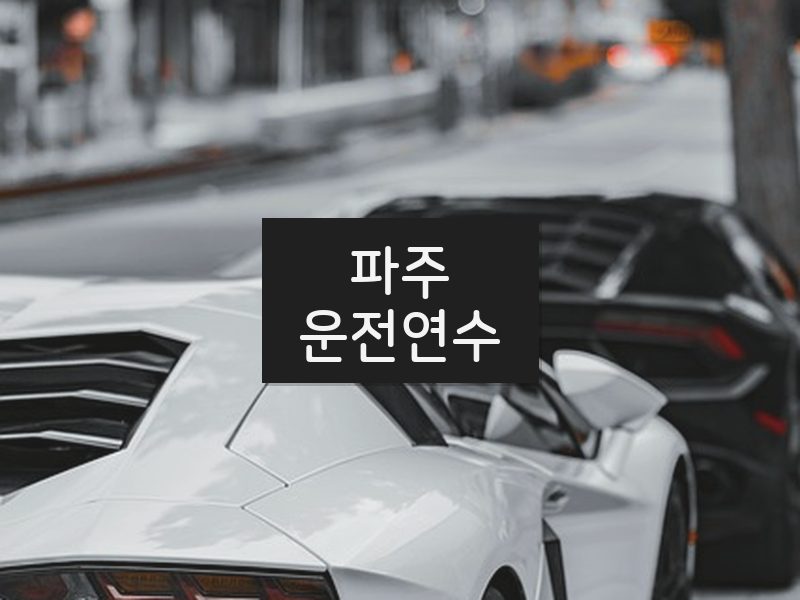 파주운전연수 후기