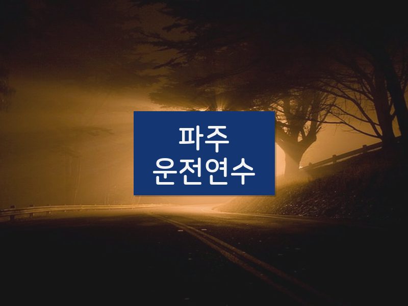 파주운전연수 후기