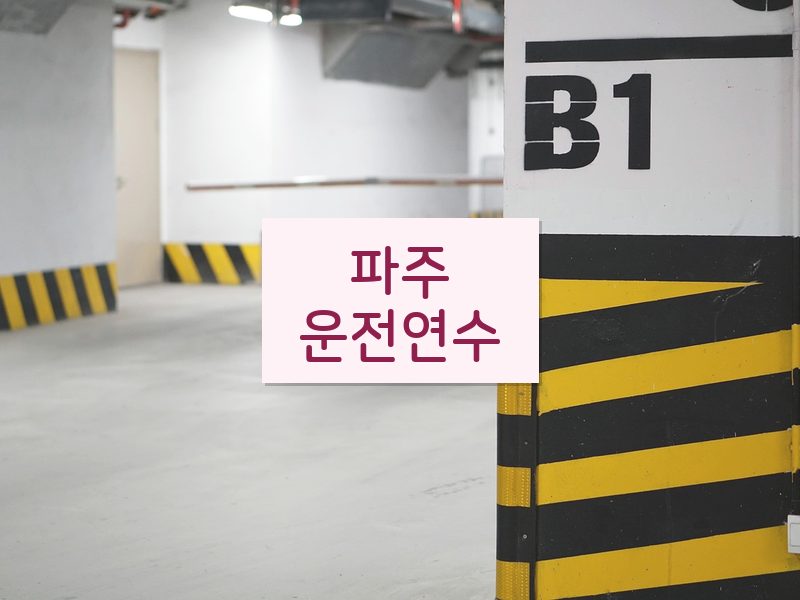 파주운전연수 후기