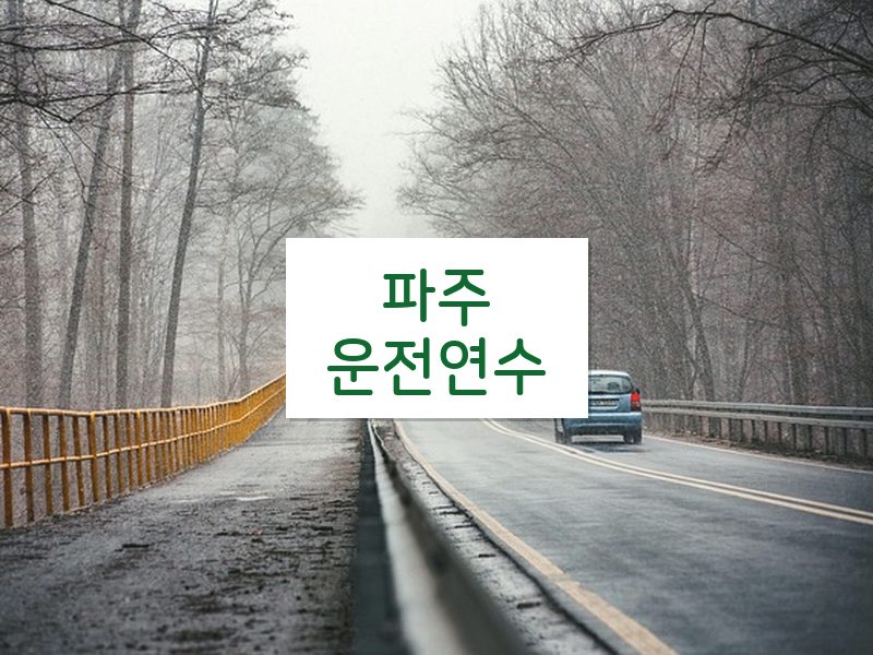 파주운전연수 후기