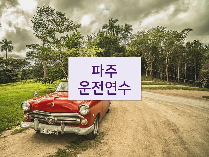 파주운전연수 후기