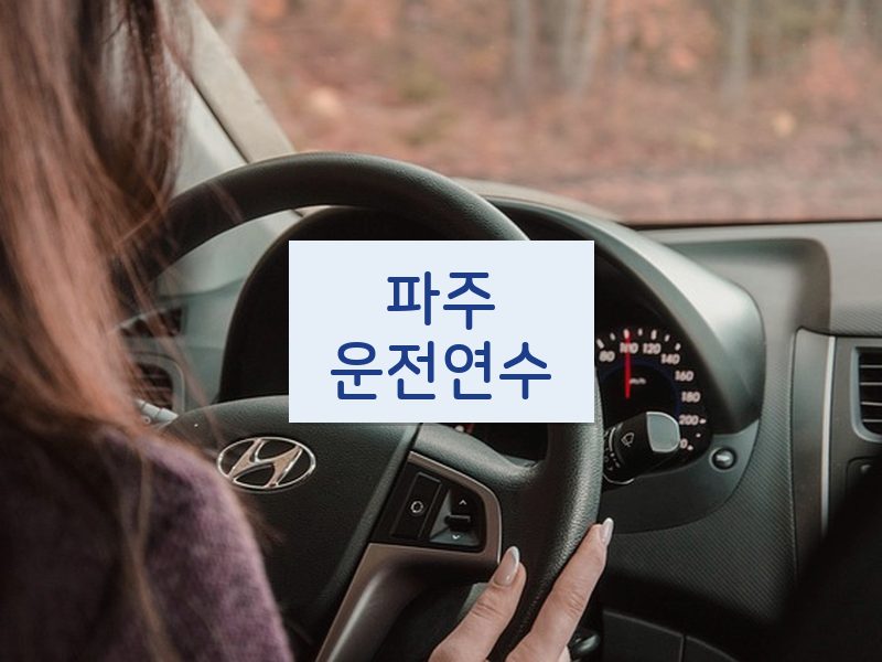 파주운전연수 후기