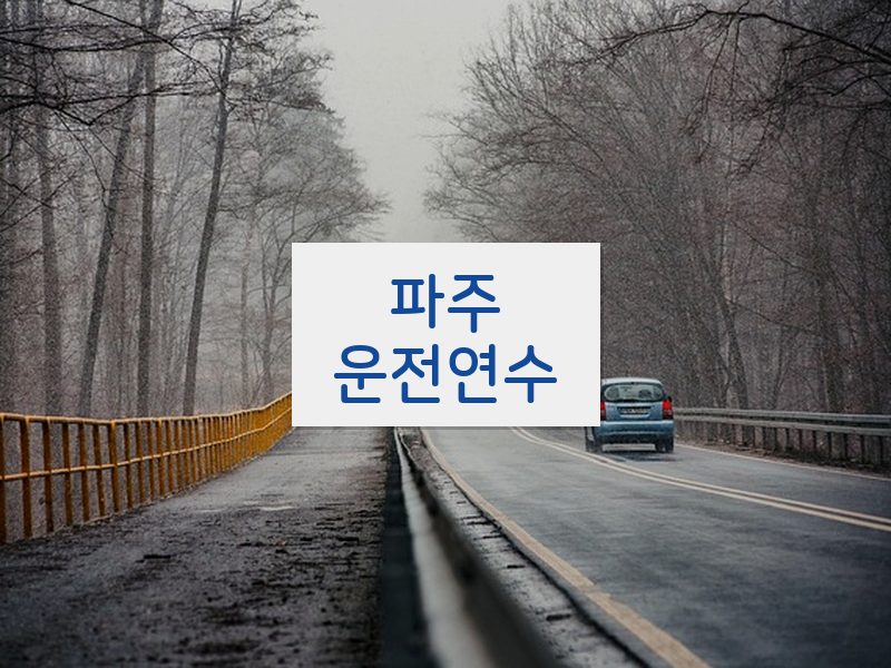 파주운전연수 후기