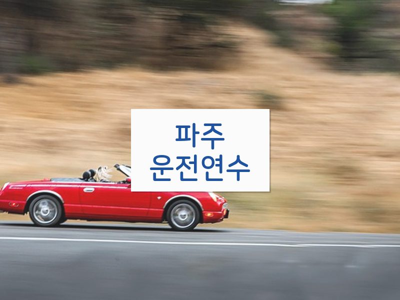 파주운전연수 후기