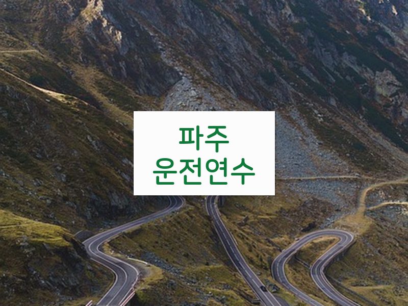 파주운전연수 후기