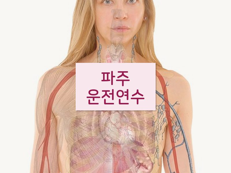 파주운전연수 후기