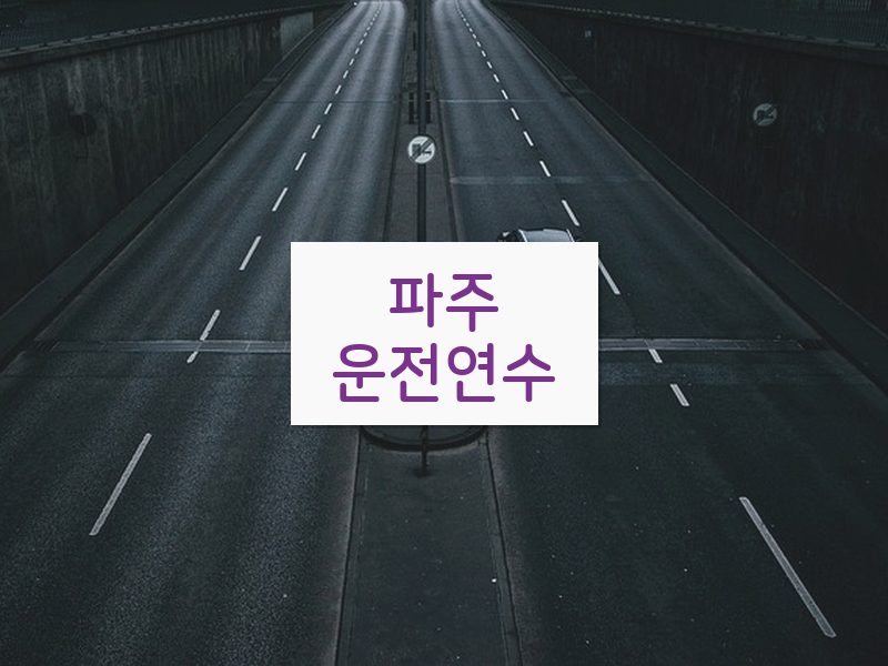 파주운전연수 후기