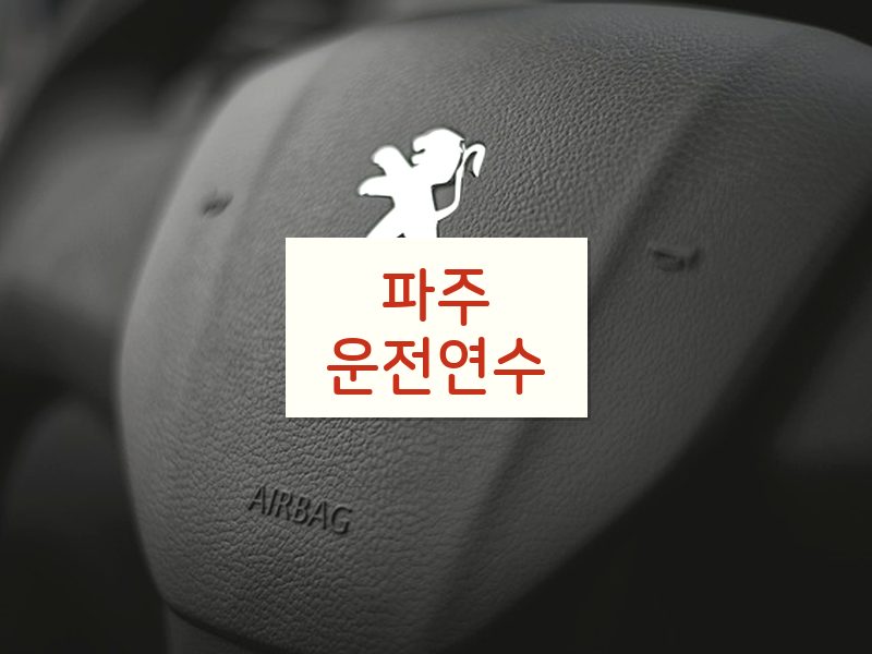 파주운전연수 후기