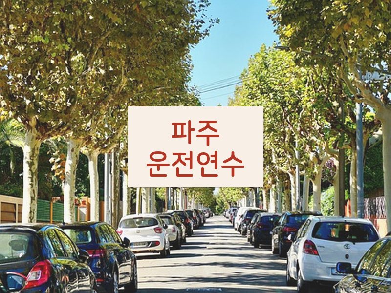 파주운전연수 후기