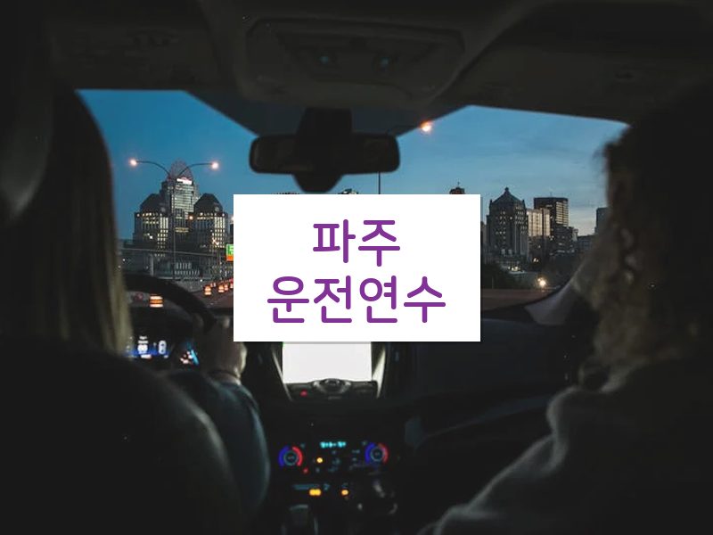 파주운전연수 후기