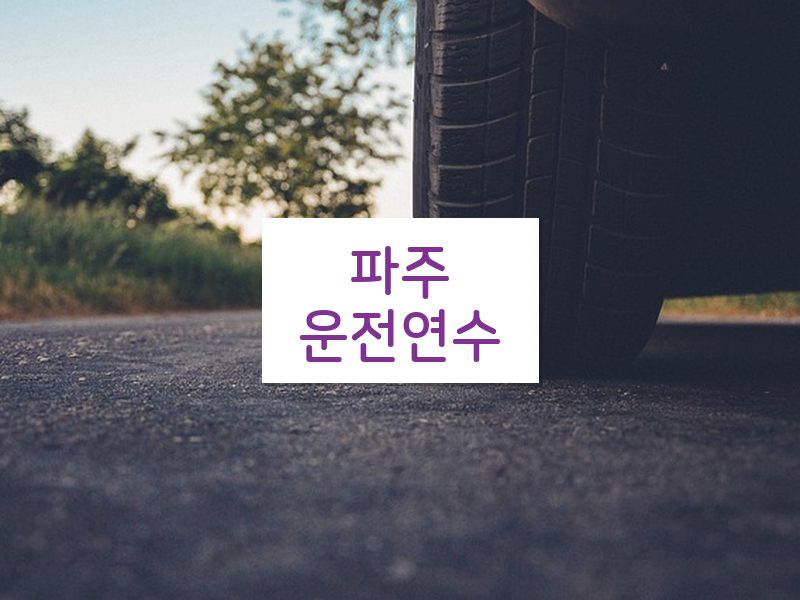 파주운전연수 후기