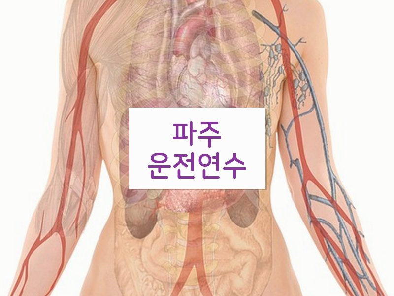 파주운전연수 후기