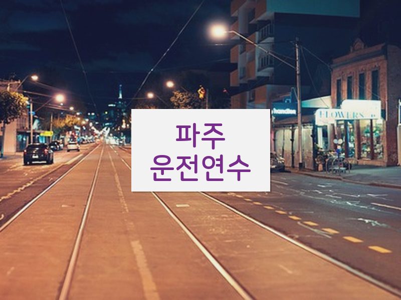 파주운전연수 후기