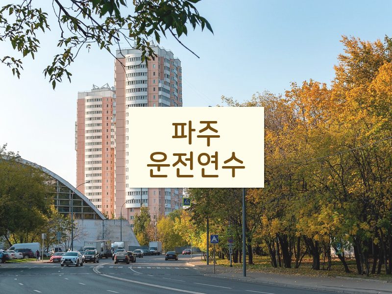 파주운전연수 후기