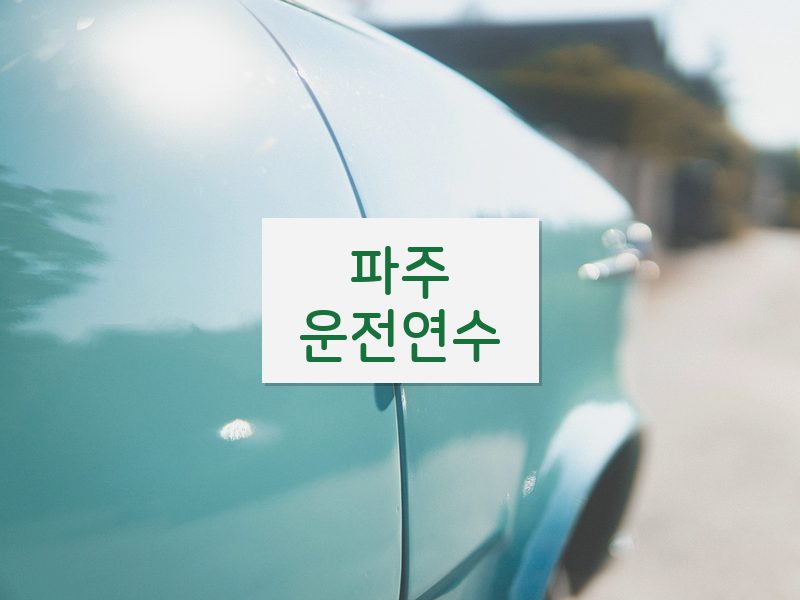 파주운전연수 후기