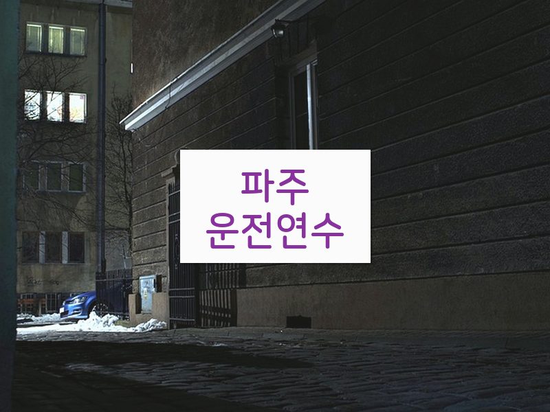 파주운전연수 후기