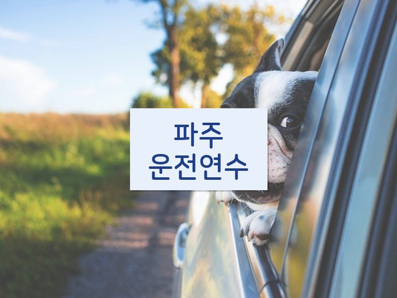 파주운전연수 후기