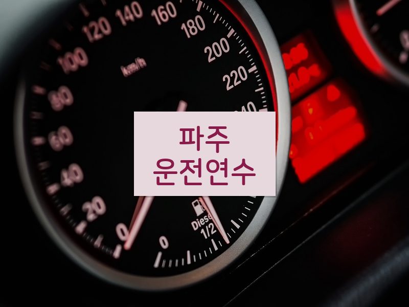 파주운전연수 후기