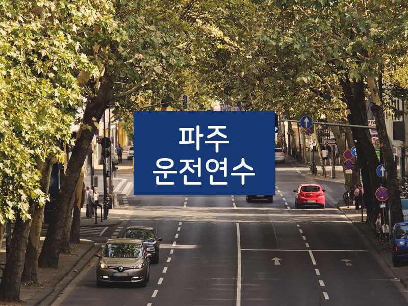 파주운전연수 후기
