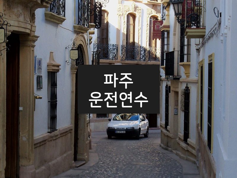 파주운전연수 후기