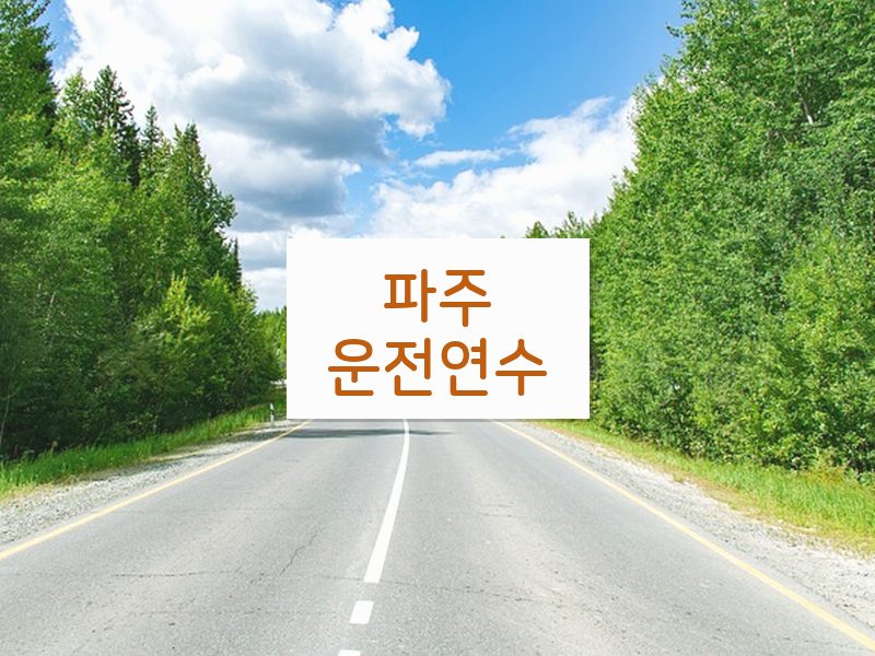 파주운전연수 후기