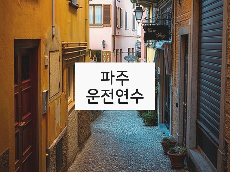 파주운전연수 후기