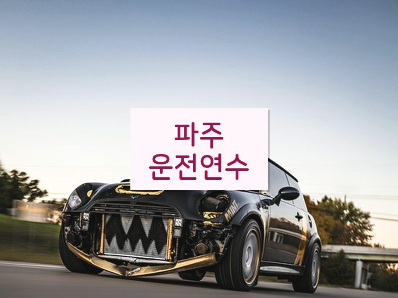 파주운전연수 후기