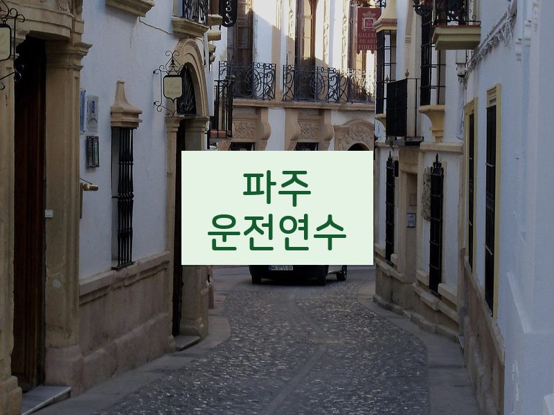 파주운전연수 후기