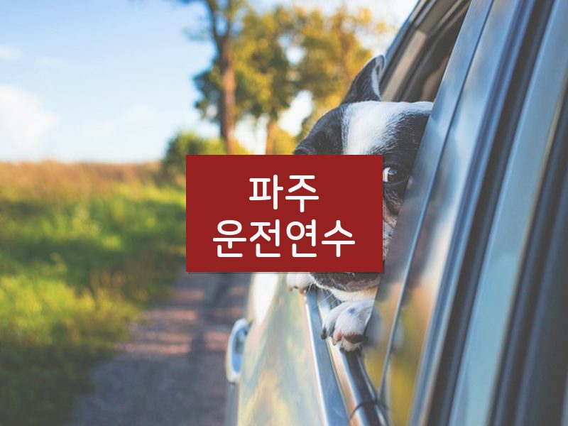 파주운전연수 후기