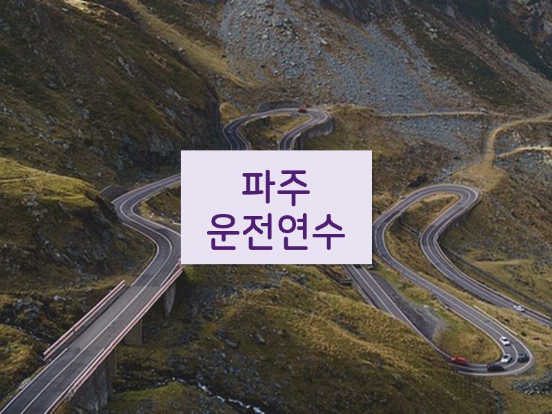 파주운전연수 후기