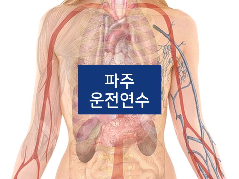 파주운전연수 후기