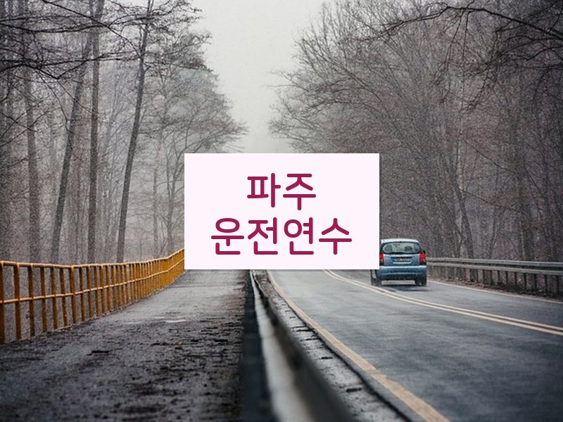 파주운전연수 후기