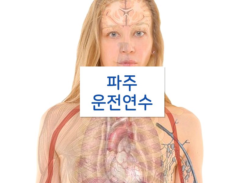 파주운전연수 후기