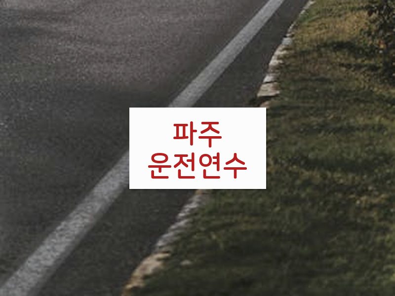 파주운전연수 후기