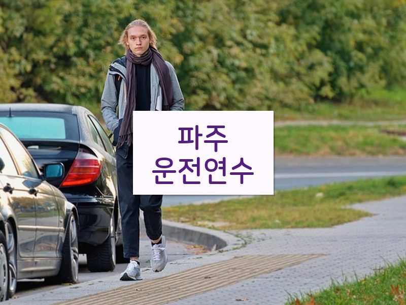파주운전연수 후기