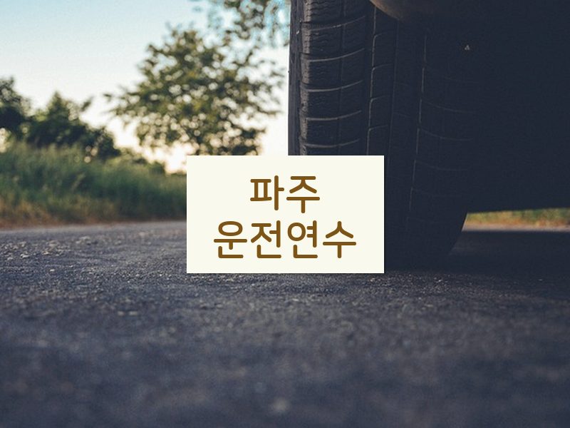 파주운전연수 후기
