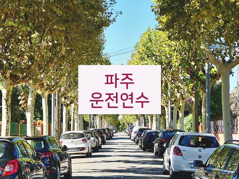 파주운전연수 후기