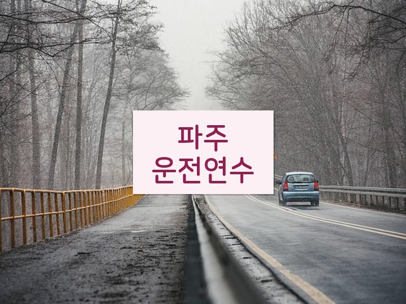 파주운전연수 후기