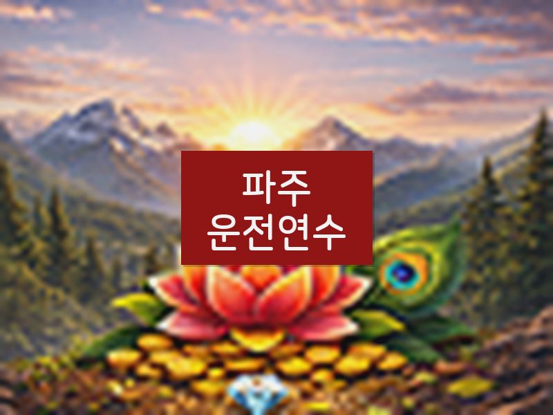 파주운전연수 후기