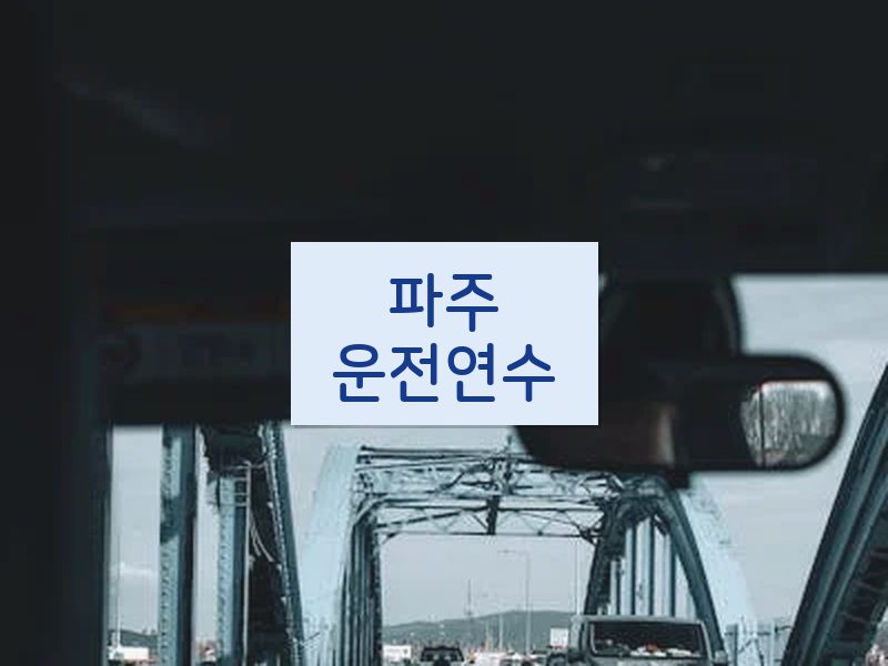파주운전연수 후기