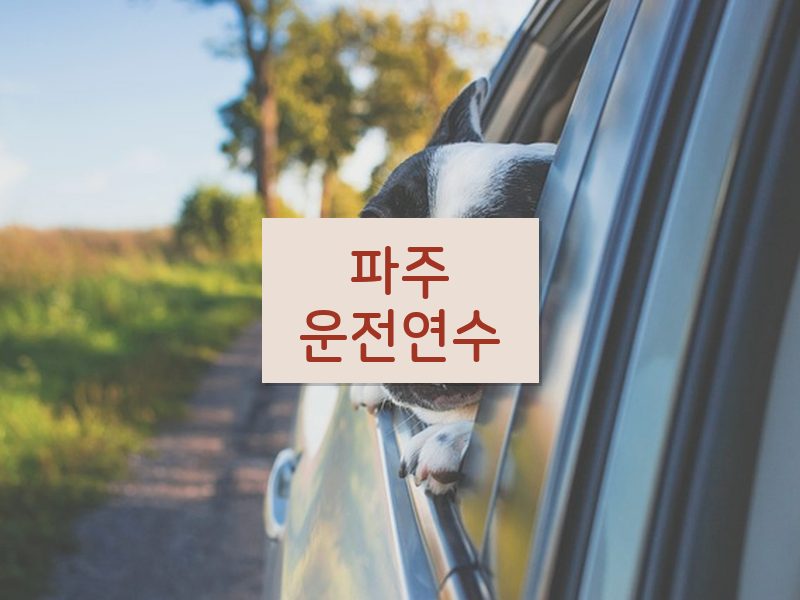 파주운전연수 후기